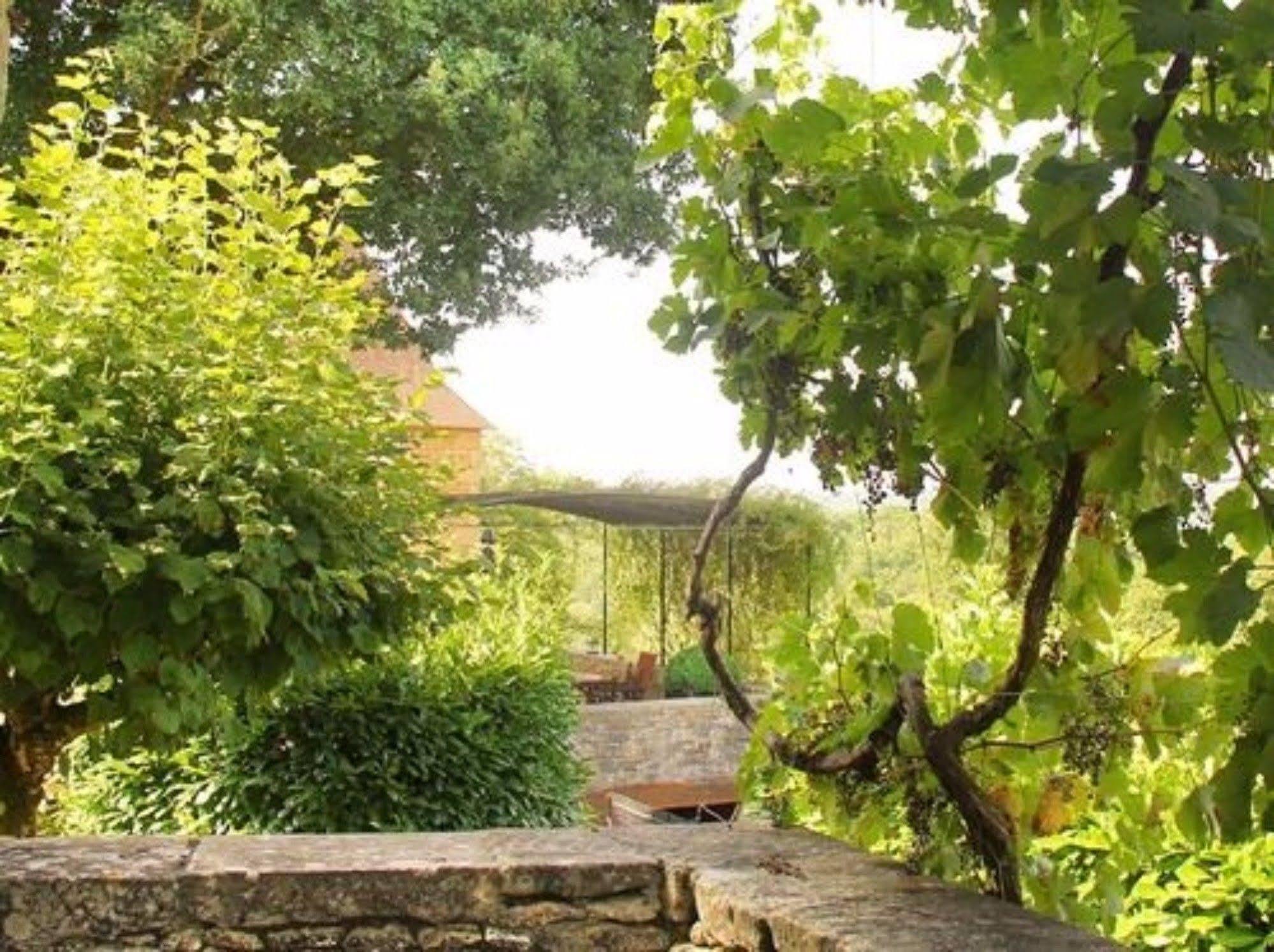 Chambres D'Hotes Avec Piscine La Rossillonie Beynac-et-Cazenac Luaran gambar